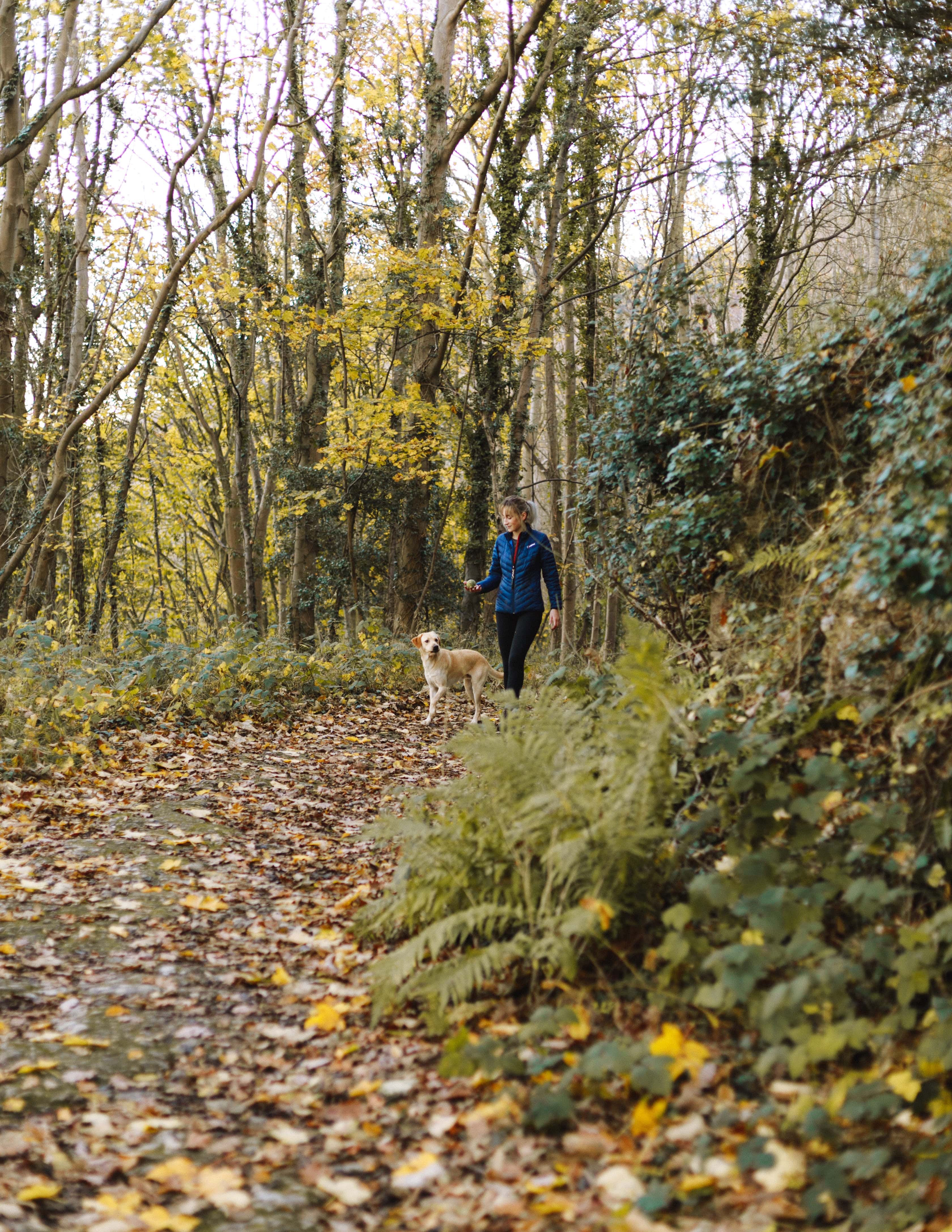 woman walking a dog in woodland